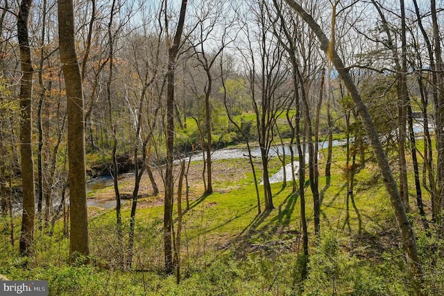 3336 Slate Mills Rd, Sperryville, VA 22740 - photo 5