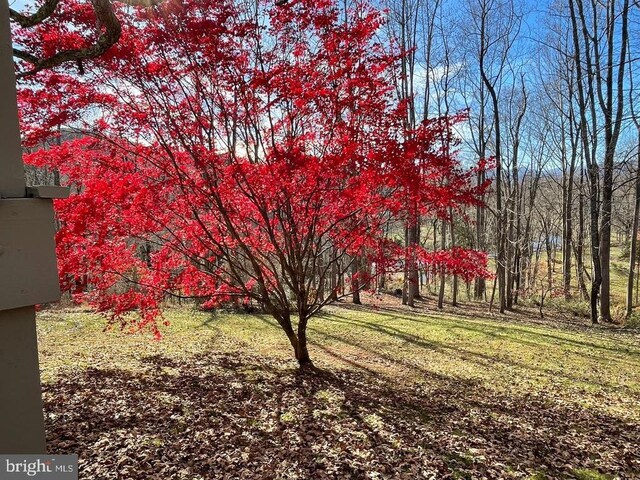 3336 Slate Mills Rd, Sperryville, VA 22740 - photo 18