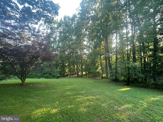 3336 Slate Mills Rd, Sperryville, VA 22740 - photo 13