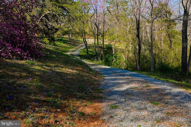 3336 Slate Mills Rd, Sperryville, VA 22740 - photo 7