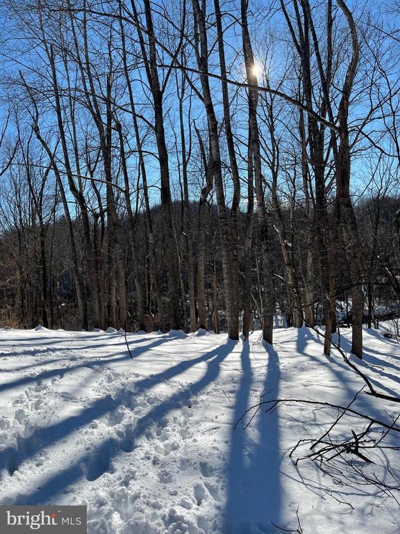 3336 Slate Mills Rd, Sperryville, VA 22740 - photo 20