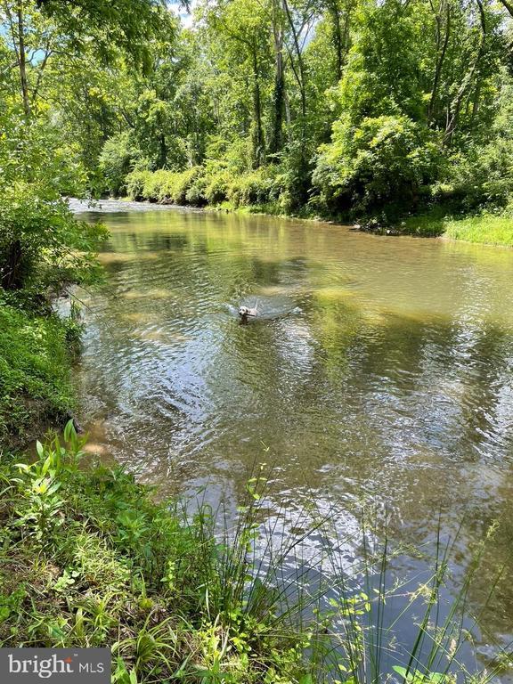 3336 Slate Mills Rd, Sperryville, VA 22740 - photo 29