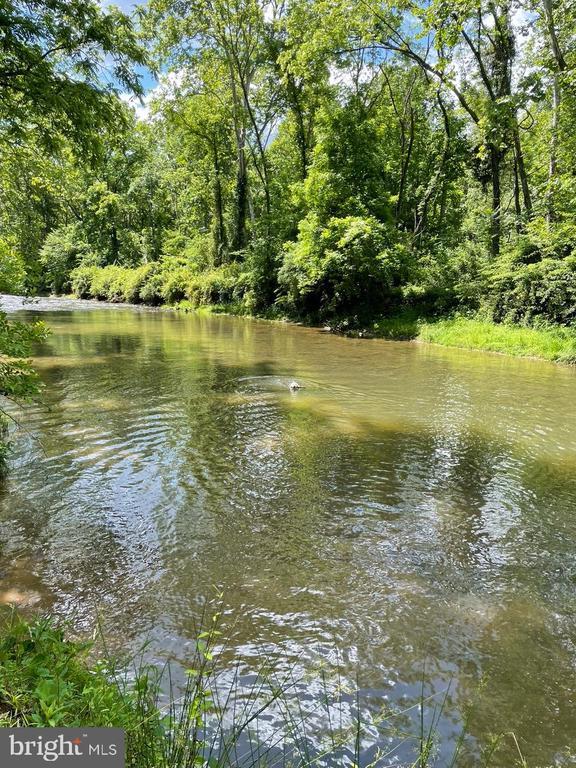 3336 Slate Mills Rd, Sperryville, VA 22740 - photo 10