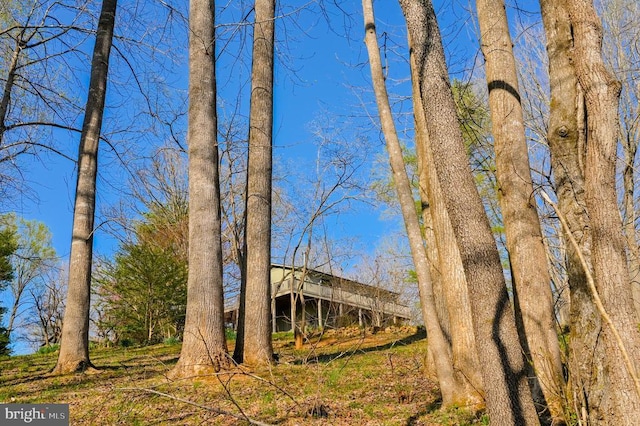 3336 Slate Mills Rd, Sperryville, VA 22740 - photo 28