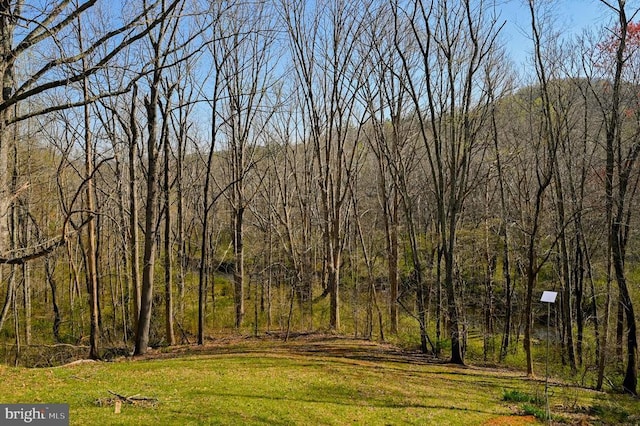 3336 Slate Mills Rd, Sperryville, VA 22740 - photo 25
