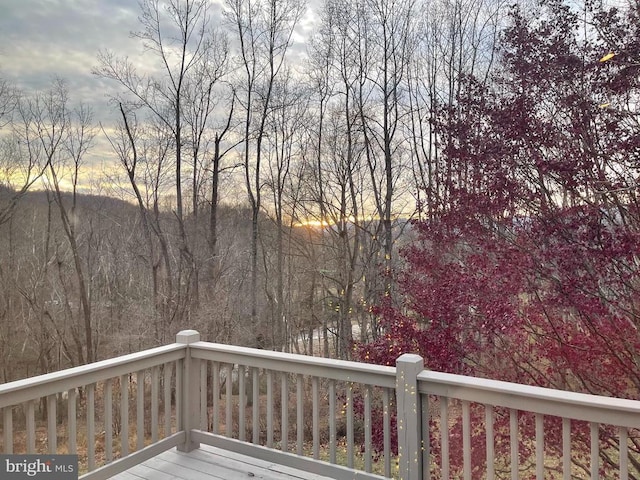 3336 Slate Mills Rd, Sperryville, VA 22740 - photo 17