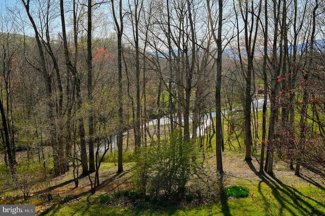 3336 Slate Mills Rd, Sperryville, VA 22740 - photo 24