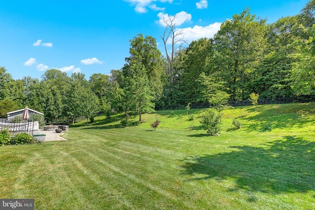  - view of green lawn