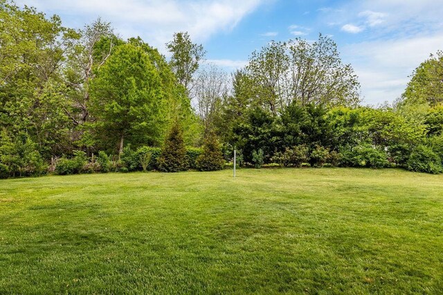190 Hotchkiss Rd, Churchville, VA 24421 - photo 10