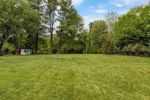 190 Hotchkiss Rd, Churchville, VA 24421 - photo 11