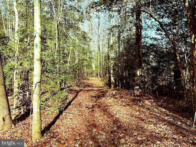 6709 Marye Rd, Spotsylvania, VA 22551 - photo 2