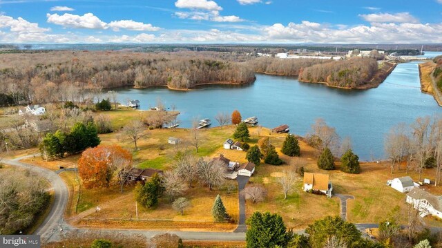 41 Carr Cir, Mineral, VA 23117 - bird's eye view of a nearby body of water and a heavily wooded area