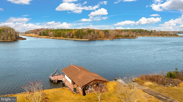 41 Carr Cir, Mineral, VA 23117 - dock area with a water view