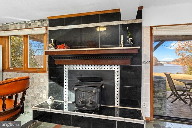 41 Carr Cir, Mineral, VA 23117 - detailed view of a water view and a wood stove
