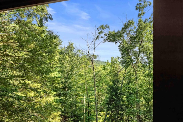 1363 Calf Mountain Rd, Waynesboro, VA 22980 - photo 47