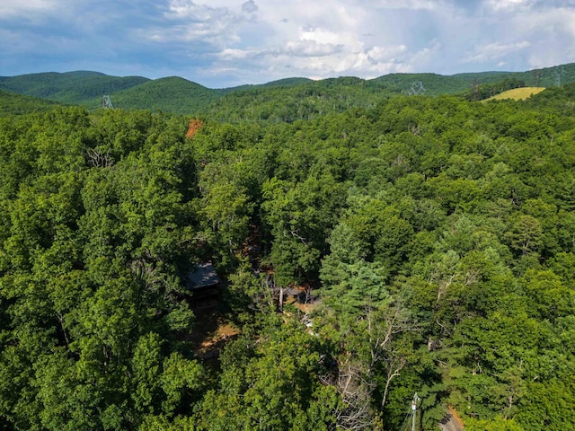 1363 Calf Mountain Rd, Waynesboro, VA 22980 - photo 57