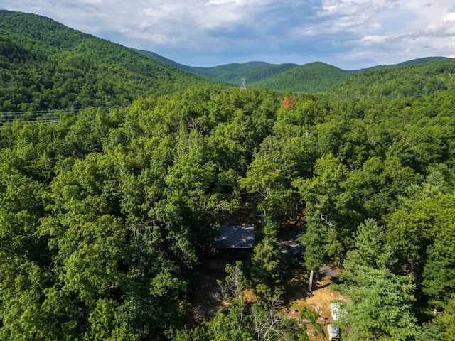 1363 Calf Mountain Rd, Waynesboro, VA 22980 - photo 56