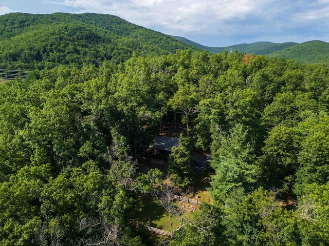 1363 Calf Mountain Rd, Waynesboro, VA 22980 - photo 55