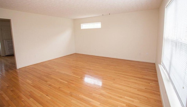 196 Emerson Ln, Harrisonburg, VA 22801 - spare room featuring light wood-style floors and a textured ceiling