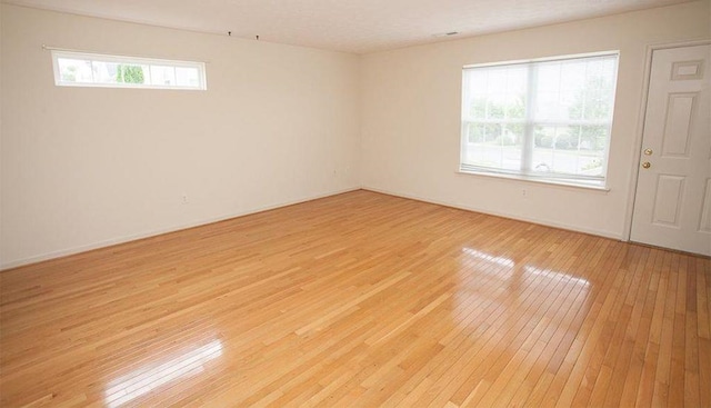 196 Emerson Ln, Harrisonburg, VA 22801 - unfurnished room with light wood-style flooring and baseboards