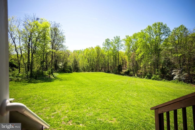 2905 Twymans Mill Rd, Madison, VA 22727 - view of grassy yard featuring a wooded view