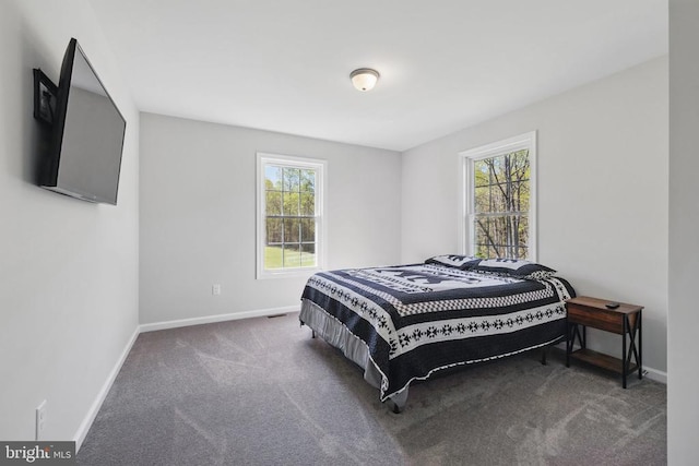 2905 Twymans Mill Rd, Madison, VA 22727 - carpeted bedroom with baseboards