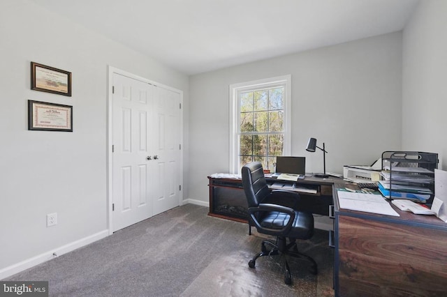 2905 Twymans Mill Rd, Madison, VA 22727 - carpeted home office with baseboards
