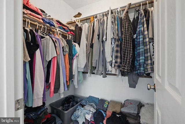 2905 Twymans Mill Rd, Madison, VA 22727 - view of spacious closet