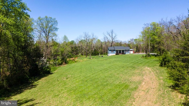 2905 Twymans Mill Rd, Madison, VA 22727 - view of grassy yard