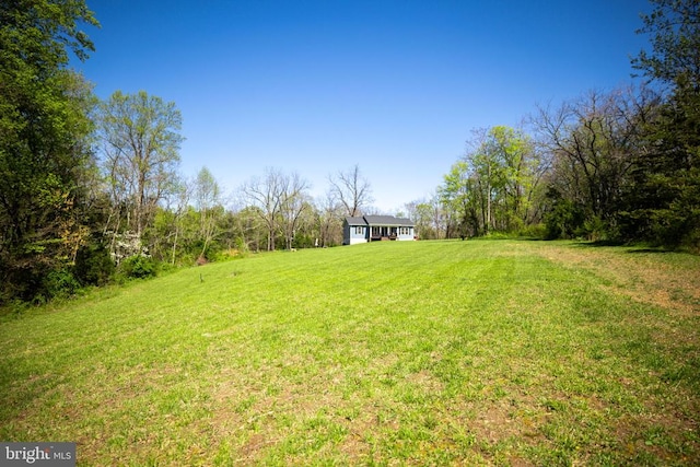 2905 Twymans Mill Rd, Madison, VA 22727 - view of green lawn