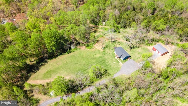 2905 Twymans Mill Rd, Madison, VA 22727 - view of subject property