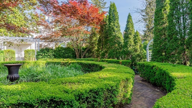 111 Main St S, Bridgewater, VA 22812 - view of yard with a pergola