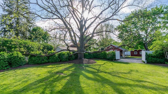 111 Main St S, Bridgewater, VA 22812 - view of yard