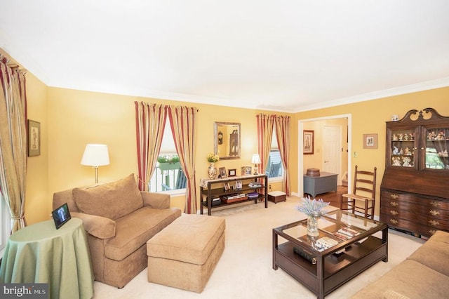10415 Shaw Dr, Spotsylvania, VA 22553 - living area with carpet flooring and ornamental molding