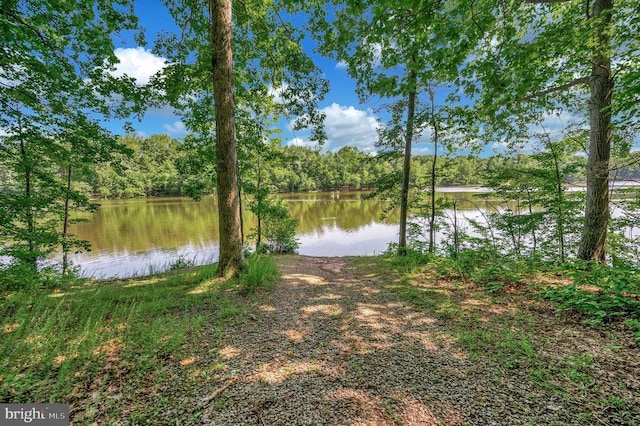10415 Shaw Dr, Spotsylvania, VA 22553 - water view featuring a heavily wooded area