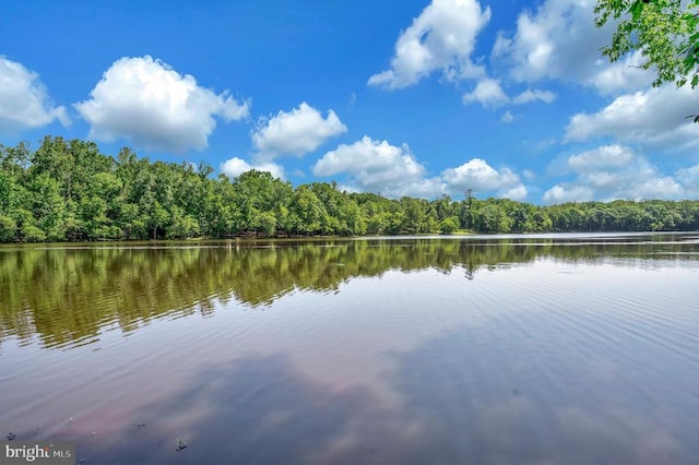 10415 Shaw Dr, Spotsylvania, VA 22553 - water view with a forest