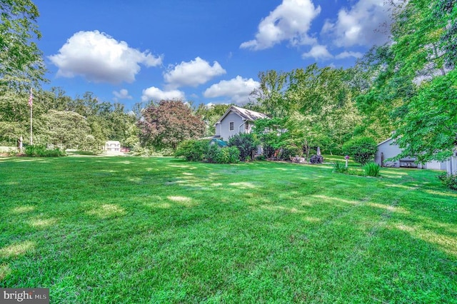 10415 Shaw Dr, Spotsylvania, VA 22553 - view of grassy yard