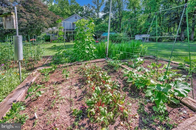 10415 Shaw Dr, Spotsylvania, VA 22553 - view of yard featuring a garden and view of scattered trees