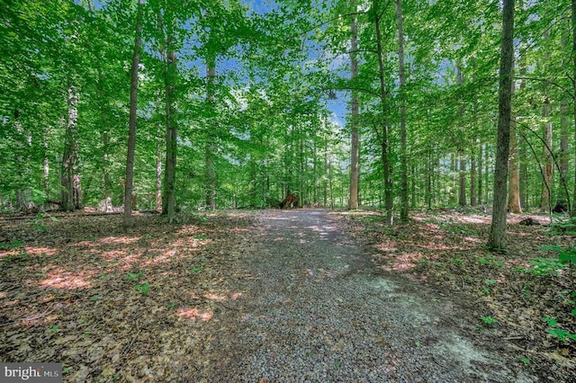 10415 Shaw Dr, Spotsylvania, VA 22553 - view of street featuring a forest view