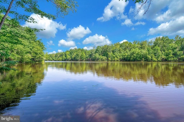 10415 Shaw Dr, Spotsylvania, VA 22553 - water view with a heavily wooded area