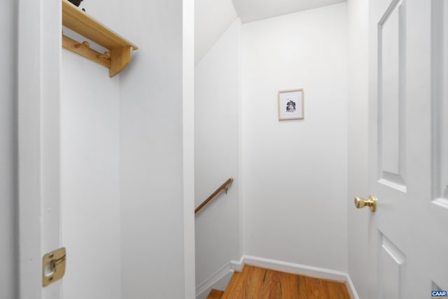 11 Holly Cir, Palmyra, VA 22963 - spacious closet featuring light wood-type flooring