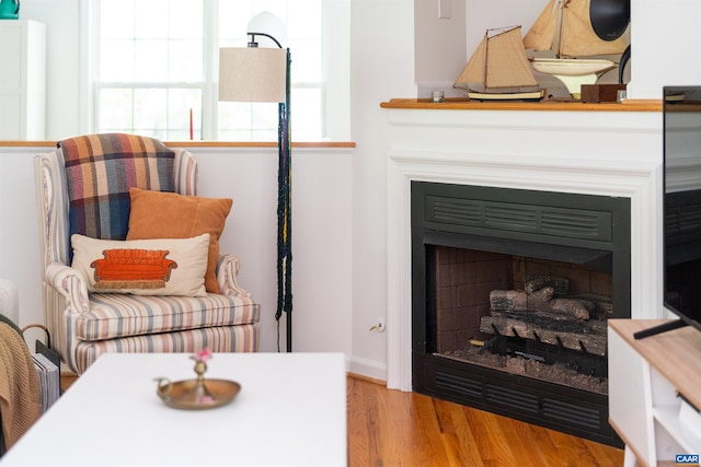 11 Holly Cir, Palmyra, VA 22963 - living area with wood finished floors and a fireplace