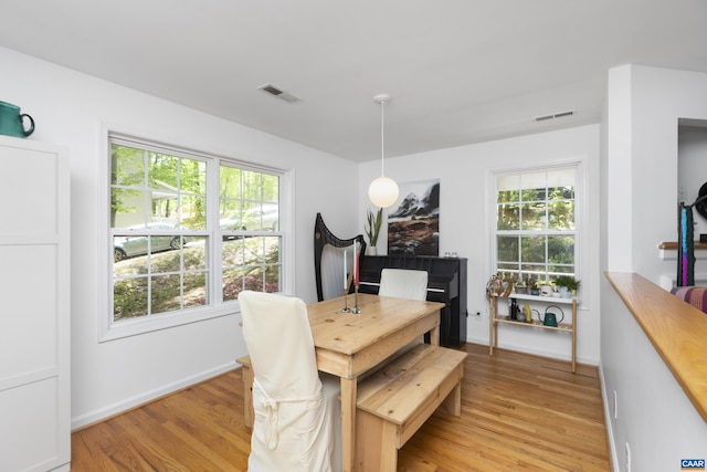 11 Holly Cir, Palmyra, VA 22963 - dining area with light wood-type flooring, plenty of natural light, and baseboards
