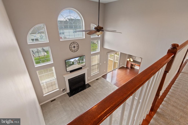 9715 Inkwood Dr, Fredericksburg, VA 22407 - photo 34