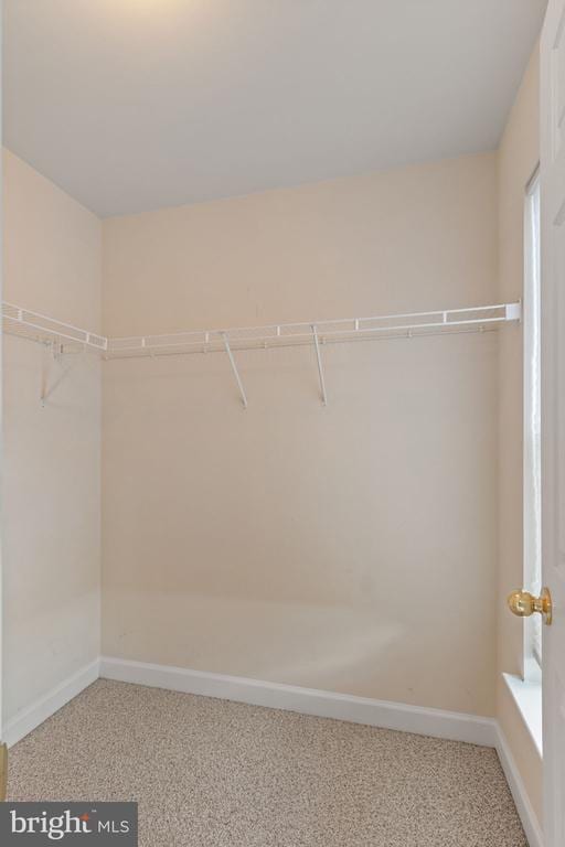 9715 Inkwood Dr, Fredericksburg, VA 22407 - photo 27