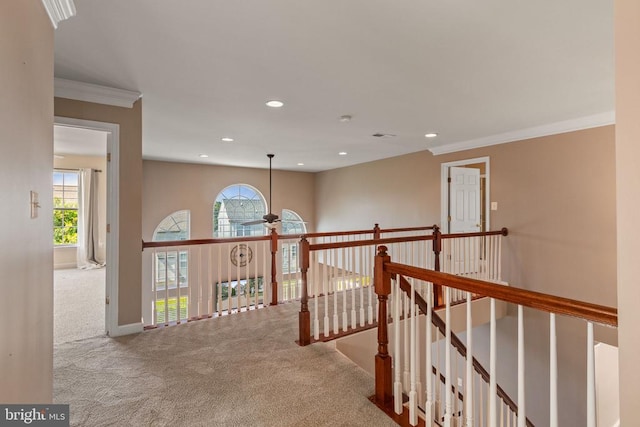 9715 Inkwood Dr, Fredericksburg, VA 22407 - photo 24