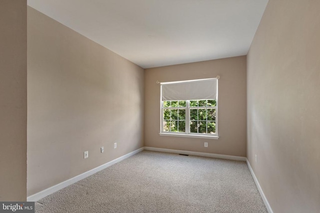 9715 Inkwood Dr, Fredericksburg, VA 22407 - photo 17