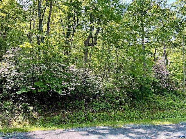 62 Split Rock Trl, Wintergreen Resort, VA 22967