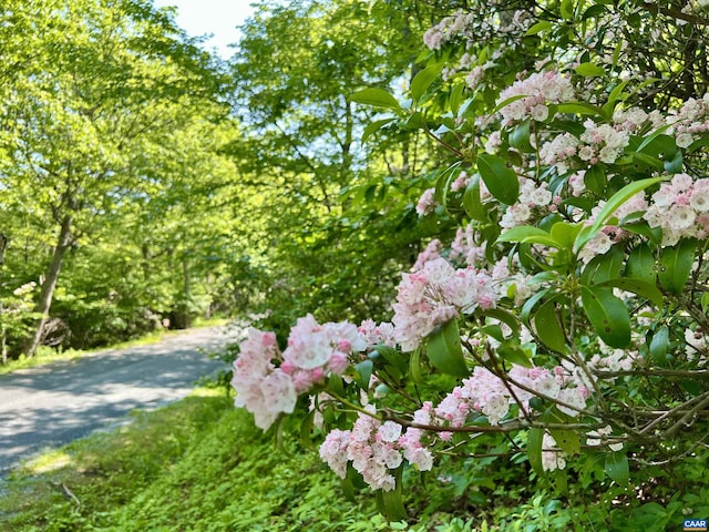 62 Split Rock Trl, Wintergreen Resort, VA 22967