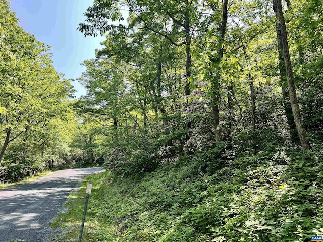 62 Split Rock Trl, Wintergreen Resort, VA 22967